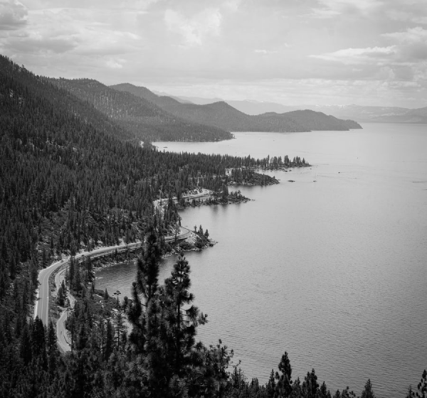 forest mountains and the lake landscape